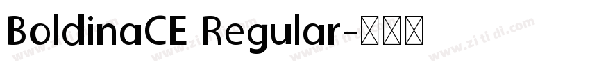 BoldinaCE Regular字体转换